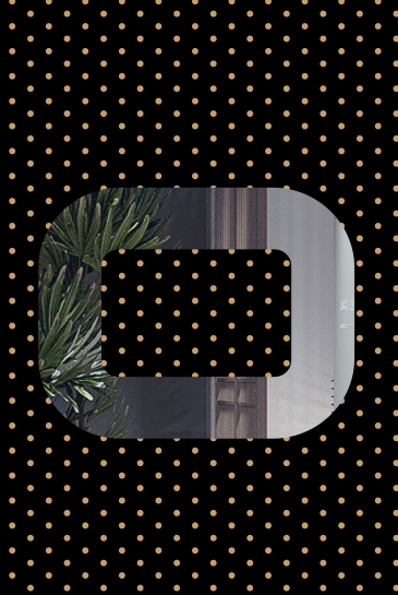 9c47ed29dad6804e212b720e31603390